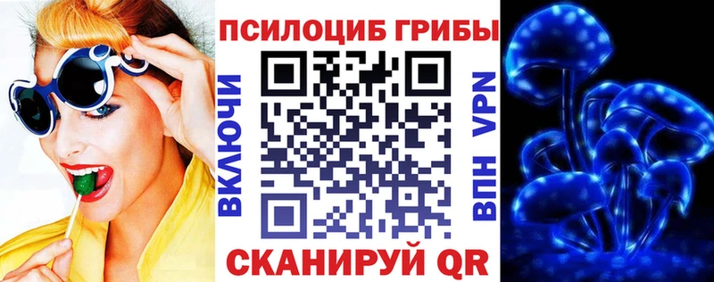 Псилоцибиновые грибы Psilocybe  Харовск 